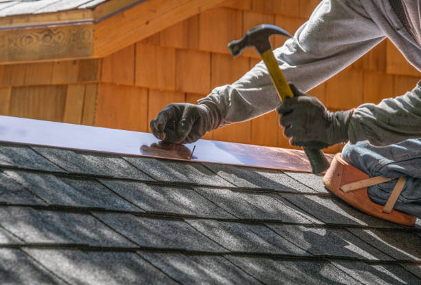 Best Gutter Installation and Repair  in Lady Lake, FL