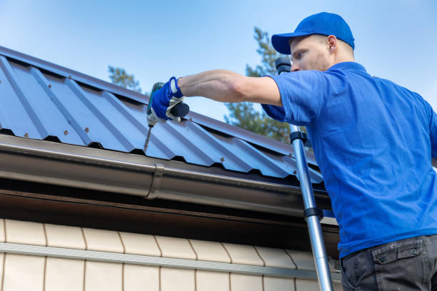 Best Metal Roofing Installation  in Lady Lake, FL
