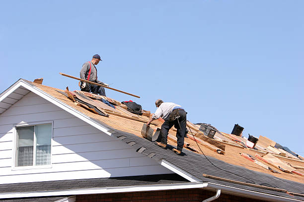 Best Roof Installation  in Lady Lake, FL