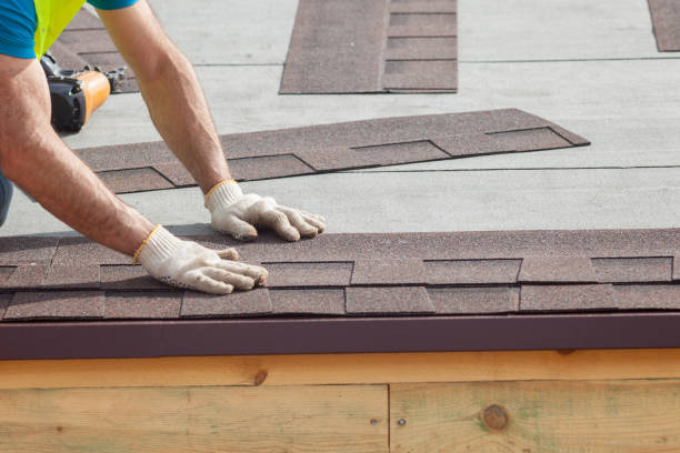Best 4 Ply Roofing  in Lady Lake, FL